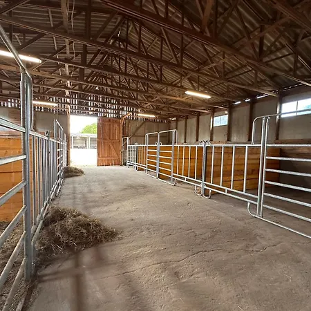 Privatunterkunft Eickhof Ferienzimmer No2 Mit Bad, Parkplatz - Günter *