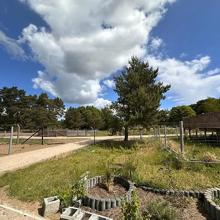 Eickhof Ferienzimmer No2 Mit Bad, Parkplatz - Günter